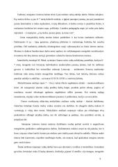 Mergaitės ir merginos socializacija 9 puslapis