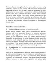 Tautosakos bruožai 2 puslapis