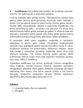 Tautosakos bruožai 4 puslapis
