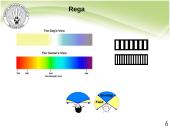 Baltijos vilkas 5 puslapis