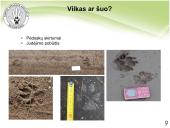 Baltijos vilkas 8 puslapis