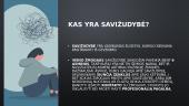 Savižudybės, jų priežastys  3 puslapis