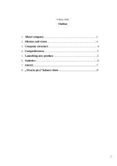 My company: "Vitucio pica" 2 puslapis