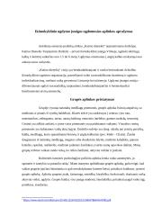 Auklėtojo asistento praktika