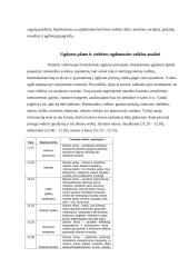 Auklėtojo asistento praktika 3 puslapis