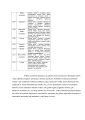 Auklėtojo asistento praktika 4 puslapis