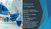 Mutagenai ir mutagenezė 8 puslapis