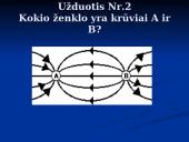 Elektrinis laukas ir visa informacija apie jį 18 puslapis