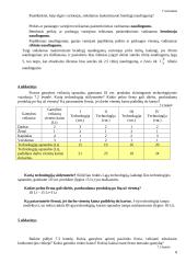 Mikroekonomikos uždaviniai paskaitai 8 puslapis