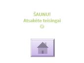 Niutono dėsniai aplink mus 19 puslapis