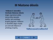 Niutono dėsniai aplink mus 8 puslapis