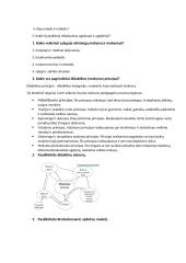 Bendrojo ir inovatyviojo dalyko aktualūs klausimai 6 puslapis