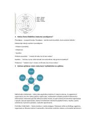 Bendrojo ir inovatyviojo dalyko aktualūs klausimai 7 puslapis