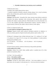 Mikroekonomikos pradmenys - namų darbas 2 puslapis