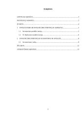 Investicinio portfelio sudarymas ir analizė 2 puslapis