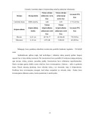 Investicinio portfelio sudarymas ir analizė 11 puslapis