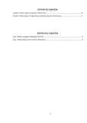 Investicinio portfelio sudarymas ir analizė 3 puslapis