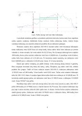 Investicinio portfelio sudarymas ir analizė 9 puslapis