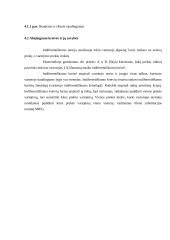 Vartotojo elgsenos nagrinėjimas 3 puslapis