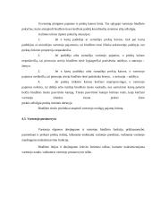 Vartotojo elgsenos nagrinėjimas 6 puslapis