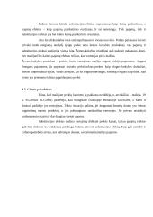 Vartotojo elgsenos nagrinėjimas 8 puslapis