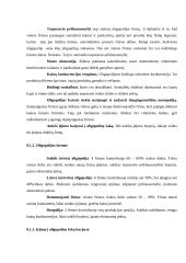 Netobula konkurencija 2 puslapis