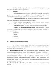 Netobula konkurencija 3 puslapis