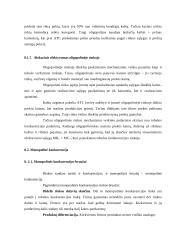 Netobula konkurencija 5 puslapis