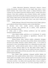 Netobula konkurencija 8 puslapis