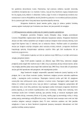 Uždarosios akcinės bendrovės ir individualios įmonės steigimas 13 puslapis