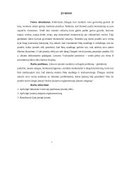 Uždarosios akcinės bendrovės ir individualios įmonės steigimas 3 puslapis