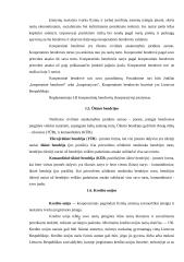 Uždarosios akcinės bendrovės ir individualios įmonės steigimas 7 puslapis