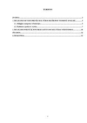 Religijos pokyčių poveikis visuomenės kultūrai: Lietuvos krikšto atvejis  2 puslapis