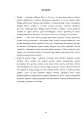 Religijos pokyčių poveikis visuomenės kultūrai: Lietuvos krikšto atvejis  14 puslapis