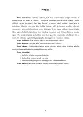 Religijos pokyčių poveikis visuomenės kultūrai: Lietuvos krikšto atvejis  3 puslapis