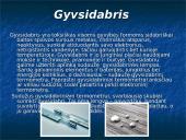 Buitiniai cheminiai preparatai 7 puslapis