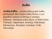 Islamo kultūros sritis 8 puslapis