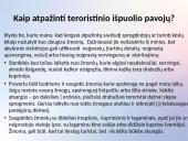 Terorizmas ir teroristiniai išpuoliai 12 puslapis