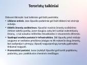 Terorizmas ir teroristiniai išpuoliai 7 puslapis