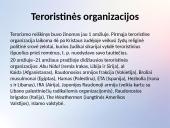 Terorizmas ir teroristiniai išpuoliai 10 puslapis