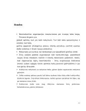 Mokymasis organizacijoje, besimokančios organizacijos esmė 17 puslapis