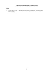 Kompiuterio elementų projektavimas 13 puslapis