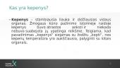 Savarankiškas darbas. Kepenys 2 puslapis