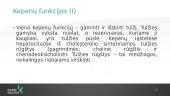 Savarankiškas darbas. Kepenys 7 puslapis