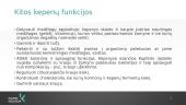 Savarankiškas darbas. Kepenys 10 puslapis