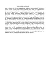 Kur yra doros ir nedoros riba?