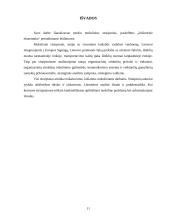 Mokslinių straipsnių apžvalga 11 puslapis