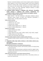 Pasiruošimas kalbotyros koliokviumui 2 puslapis