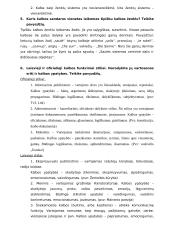 Pasiruošimas kalbotyros koliokviumui 3 puslapis