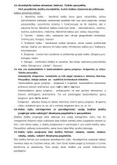 Pasiruošimas kalbotyros koliokviumui 5 puslapis